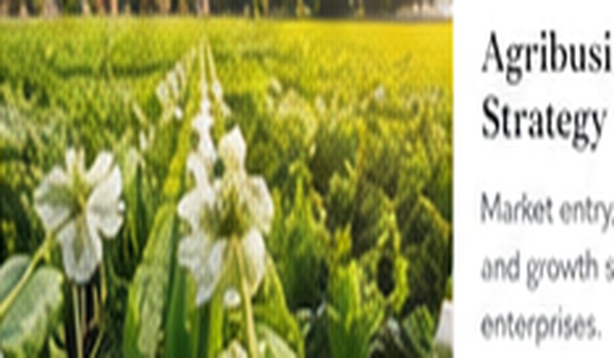 Agribusiness Expansion Strategy